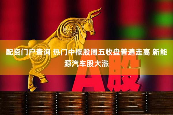 配资门户查询 热门中概股周五收盘普遍走高 新能源汽车股大涨