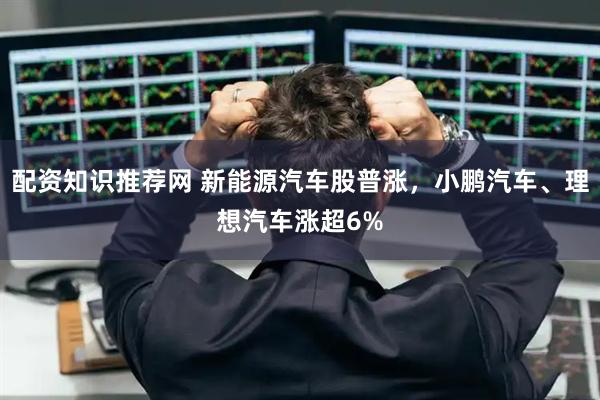 配资知识推荐网 新能源汽车股普涨，小鹏汽车、理想汽车涨超6%